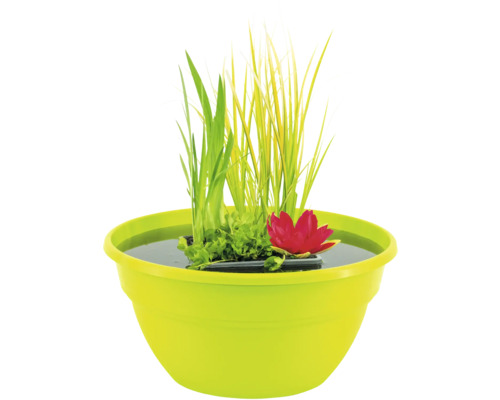 Miniteich FloraSelf inkl. Mixkorb mit Pflanzen Ø 40 cm Schale lime