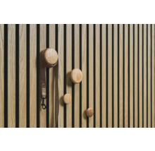 Holzwand mit runden Kleiderhaken und Hundeleine