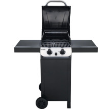 Gasgrill mit zwei Brennern und offenem Deckel