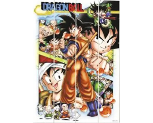 Dragon Ball Mehrteiliges Wandbild