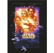 Star Wars Special Edition Filmplakat mit Luke Skywalker, Prinzessin Leia, Han Solo, Obi-Wan Kenobi und Raumschiffen