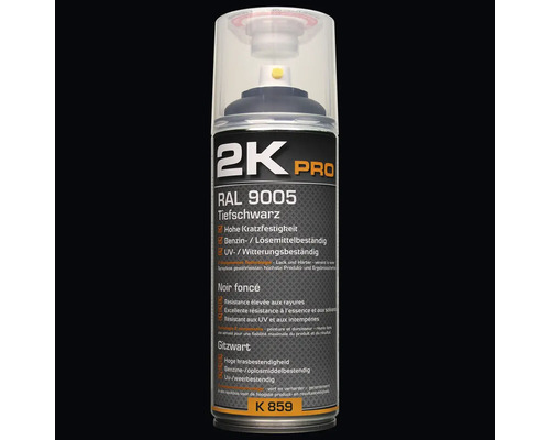 2K Pro RAL 9005 Tiefschwarz Lackspraydose