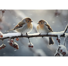 Zwei Vögel sitzen auf einem verschneiten Ast.