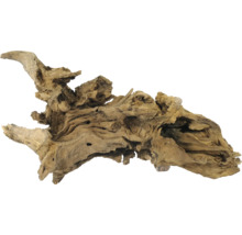 Dekorationswurzel aus Holz für Aquarien