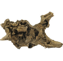 Holzwurzel zur Dekoration von Aquarien