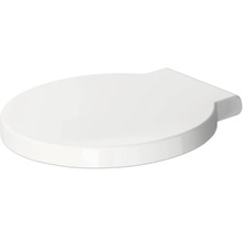 Toilettendeckel aus Kunststoff