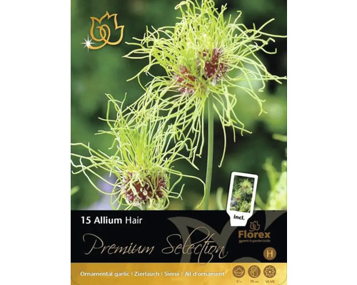 Verpackung mit 15 Zierlauch Hair Blumenzwiebeln