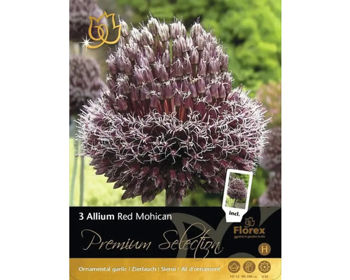 Verpackung mit drei Zierlauch Red Mohican Blumenzwiebeln
