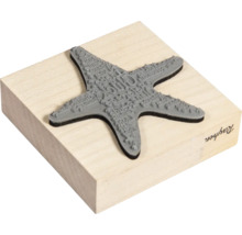 Rayher Stempel mit Seestern Motiv für Bastelarbeiten