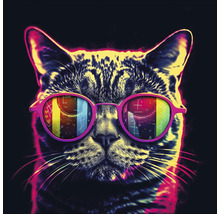 Katze mit Brille