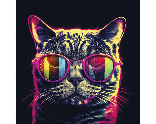 Katze mit Brille