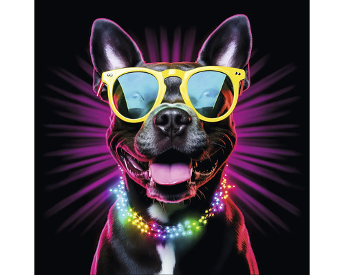 Porträt eines Hundes mit Sonnenbrille und Lichterkette