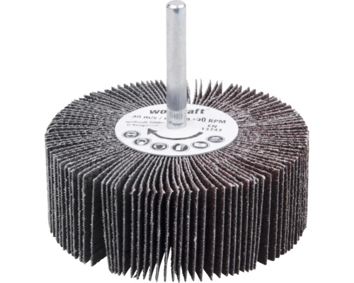 Fächerschleifer Wolfcraft Ø 80 mm Korn 60
