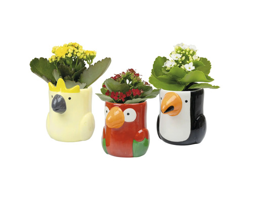 Drei Tier Blumentöpfe mit Blumen