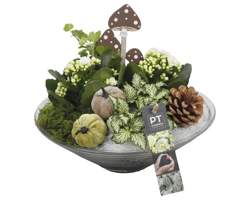 Dekorative Herbstpflanzschale mit Pilzfiguren, Kürbissen, Tannenzapfen und Pflanzenarrangement in einer Glasschale