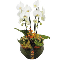 Arrangement mit weißer Orchidee in Glasvase mit Herbstdekoration