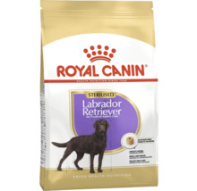 Royal Canin Sterilisiert Labrador Retriever Hundefutter