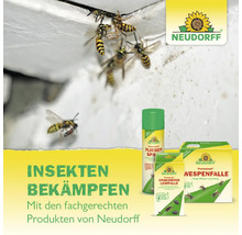 Neudorff Insektenbekämpfungsprodukte mit Wespen am Dach