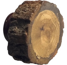 Baumscheibe mit Rinde