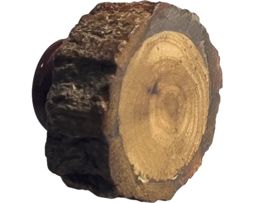 Baumscheibe mit Rinde