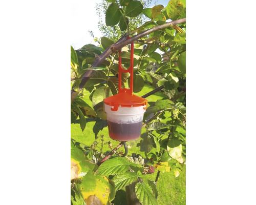 Insektenfalle hängt an einem Ast im Garten.