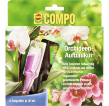 Compo Orchideendünger Aufbaukur Packung mit fünf Ampullen