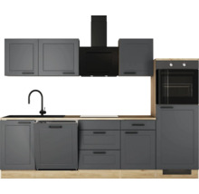 Moderne Küche mit Spüle, Dunstabzugshaube, Geschirrspüler und Backofen