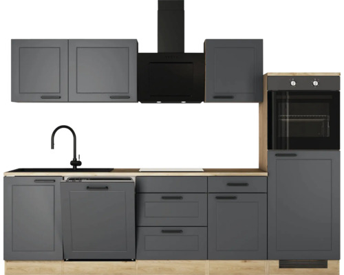 Moderne Küche mit Spüle, Dunstabzugshaube, Geschirrspüler und Backofen