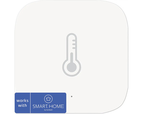 Thermometer Symbol für Smart Home System