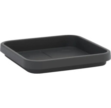 Quadratische Aufbewahrungsschale