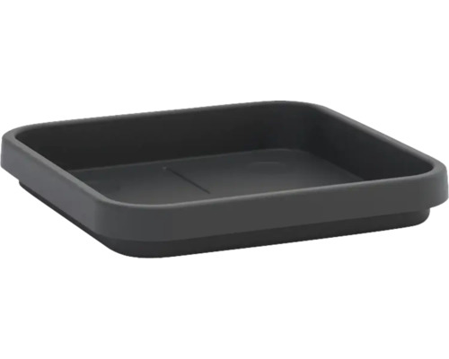 Quadratische Aufbewahrungsschale