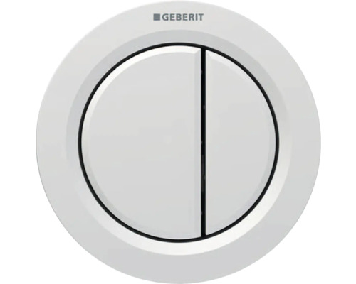 Geberit Logo Betätigungsplatte für Spülkasten mit zwei Tasten