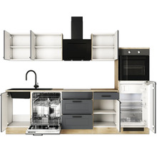 Küchenzeile mit Spüle, Geschirrspüler, Dunstabzugshaube, Backofen und Kühlschrank