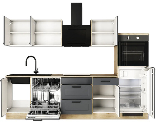 Küchenzeile mit Spüle, Geschirrspüler, Dunstabzugshaube, Backofen und Kühlschrank