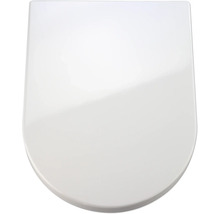 Toilettendeckel