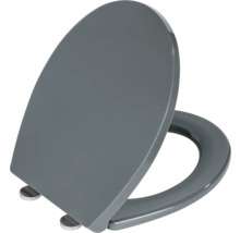 Grauer WC-Sitz