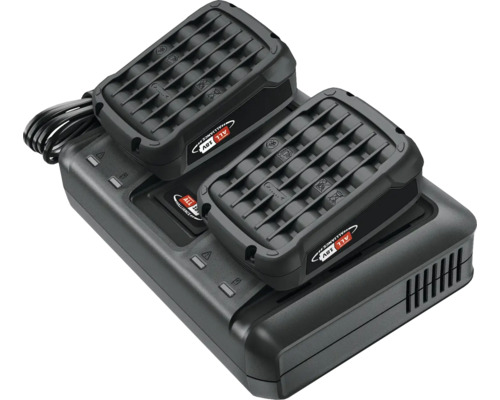 Akkuladegerät mit zwei Akkus