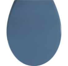 Toilettendeckel in ovaler Form