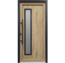 Haustür mit Glaseinsatz und Holzoptik