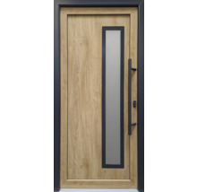 Haustür aus Holz mit Glaseinsatz und Griff
