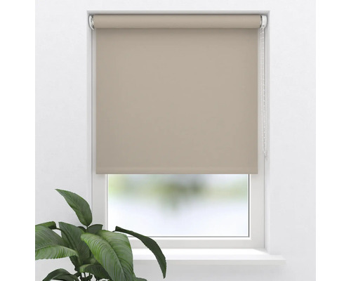 Beige Fensterrollo am Fenster mit Pflanze