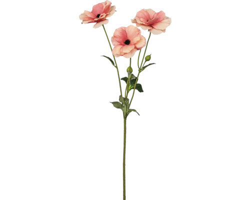 Kunstblume Ranunkel Kunstfaser H 67 cm apricot Künstliche Hahnenfußblume mit Blättern und Stiel