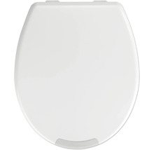 Toilettendeckel
