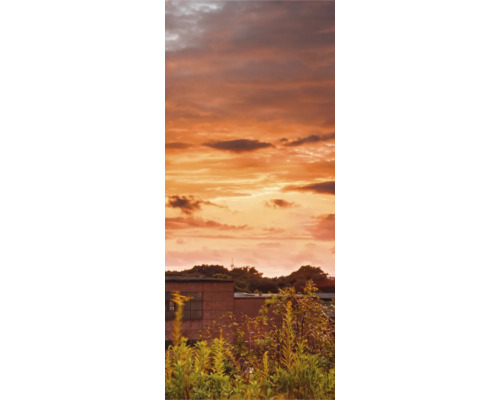 Abendlicher Himmel über einem Gebäude und Pflanzen