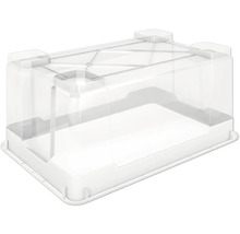 Transparente Aufbewahrungsbox aus Kunststoff mit Deckel