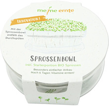 Meine Ernte Sprossenbowl mit Bio Sprossen Starterportion