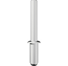 Nietstift