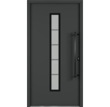 Haustür mit Glaseinsatz und Stangengriff