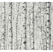 Tapete mit Birkenwaldmuster