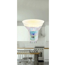 GU10 LED-Lampe mit 4000 Kelvin Lichtfarbe